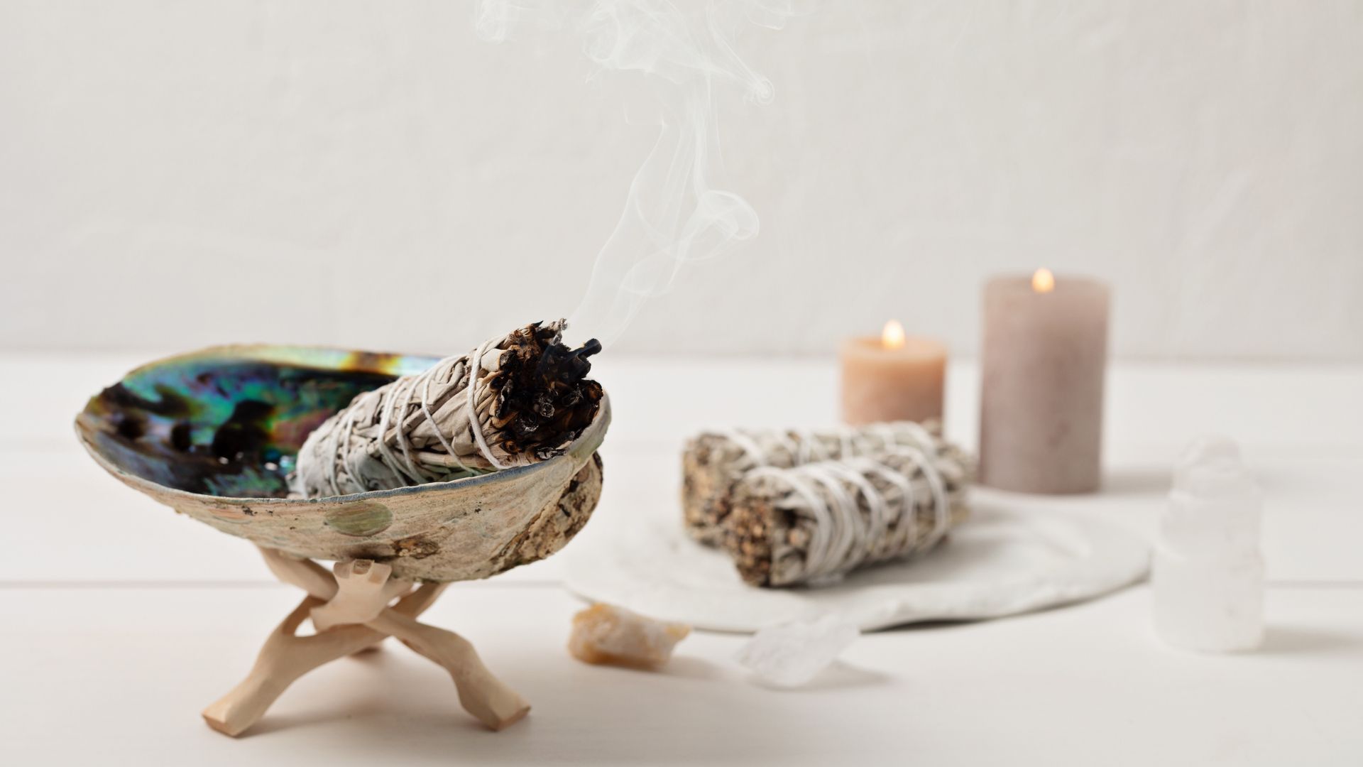 Smudge Kit with White Sage Stick, Abalone Sea Shell. Natural Elements for Cleansing Negative Energy