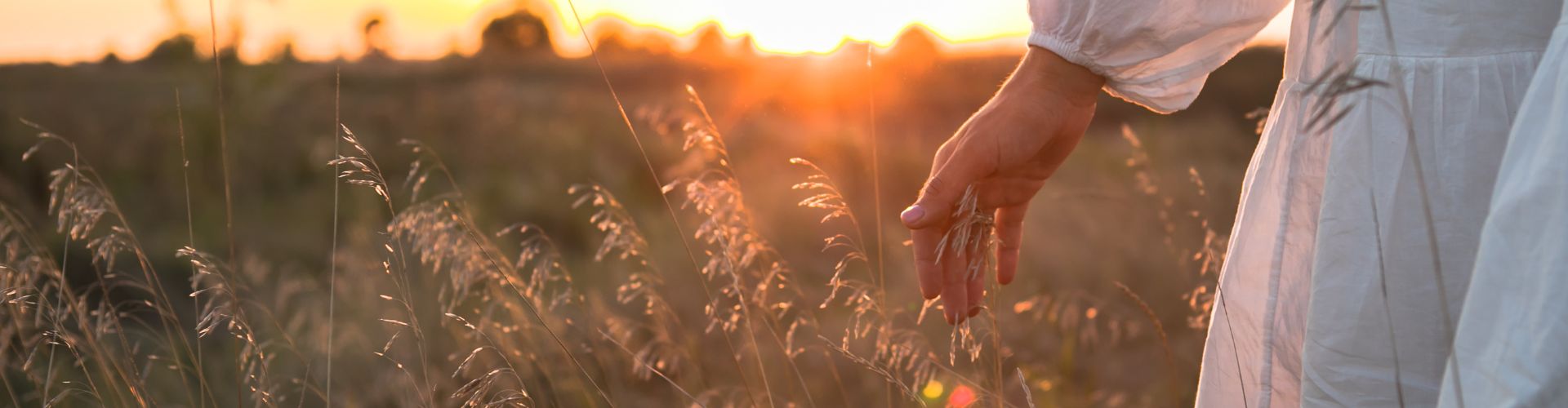 Woman field in nature. Happy people lifestyle. Woman hand field in nature