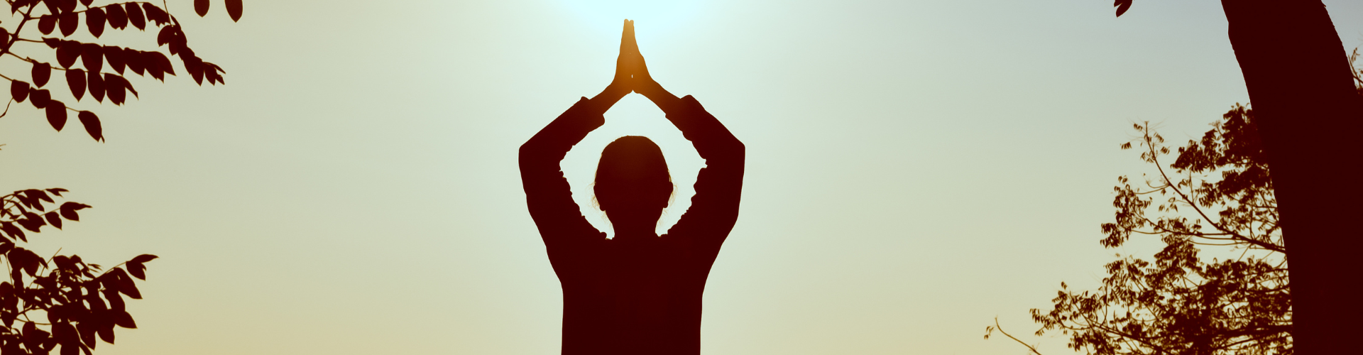 Silhouette of Man at Daytime